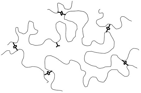 Reversible network with pairwise associating groups.