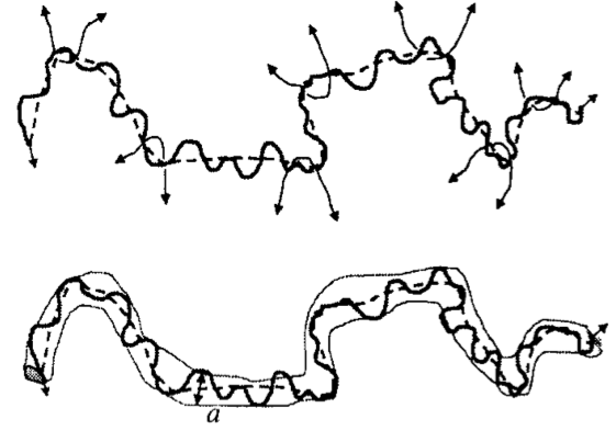 A chain is topologically constrained to a tube by surrounding chains